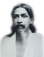 Sri Aurobindo Yang