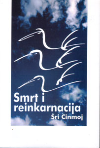 Reinkarnacija